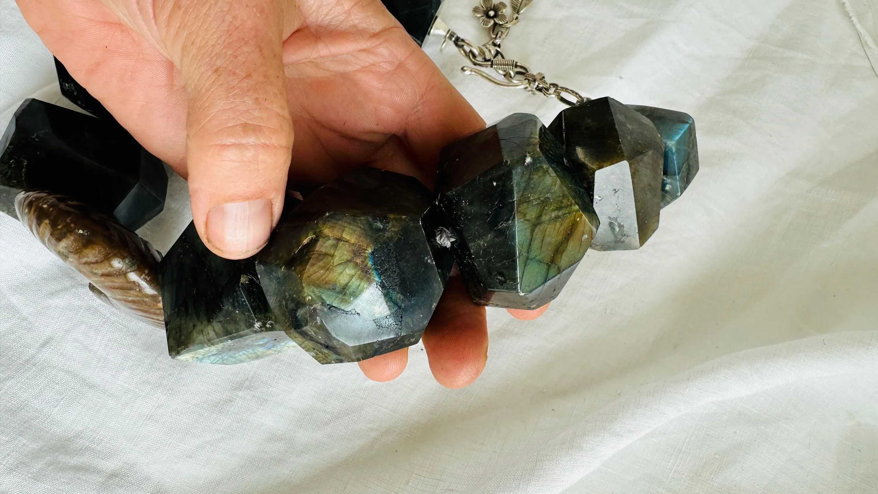 Labradorite & Ammonite Necklace. 2569