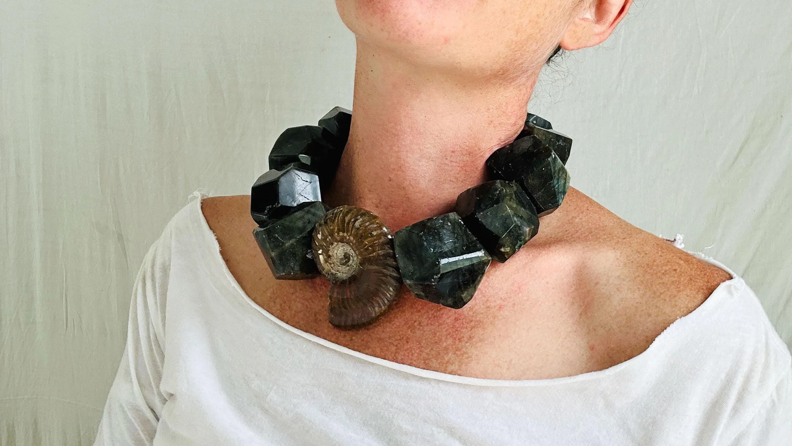 Labradorite & Ammonite Necklace. 2569
